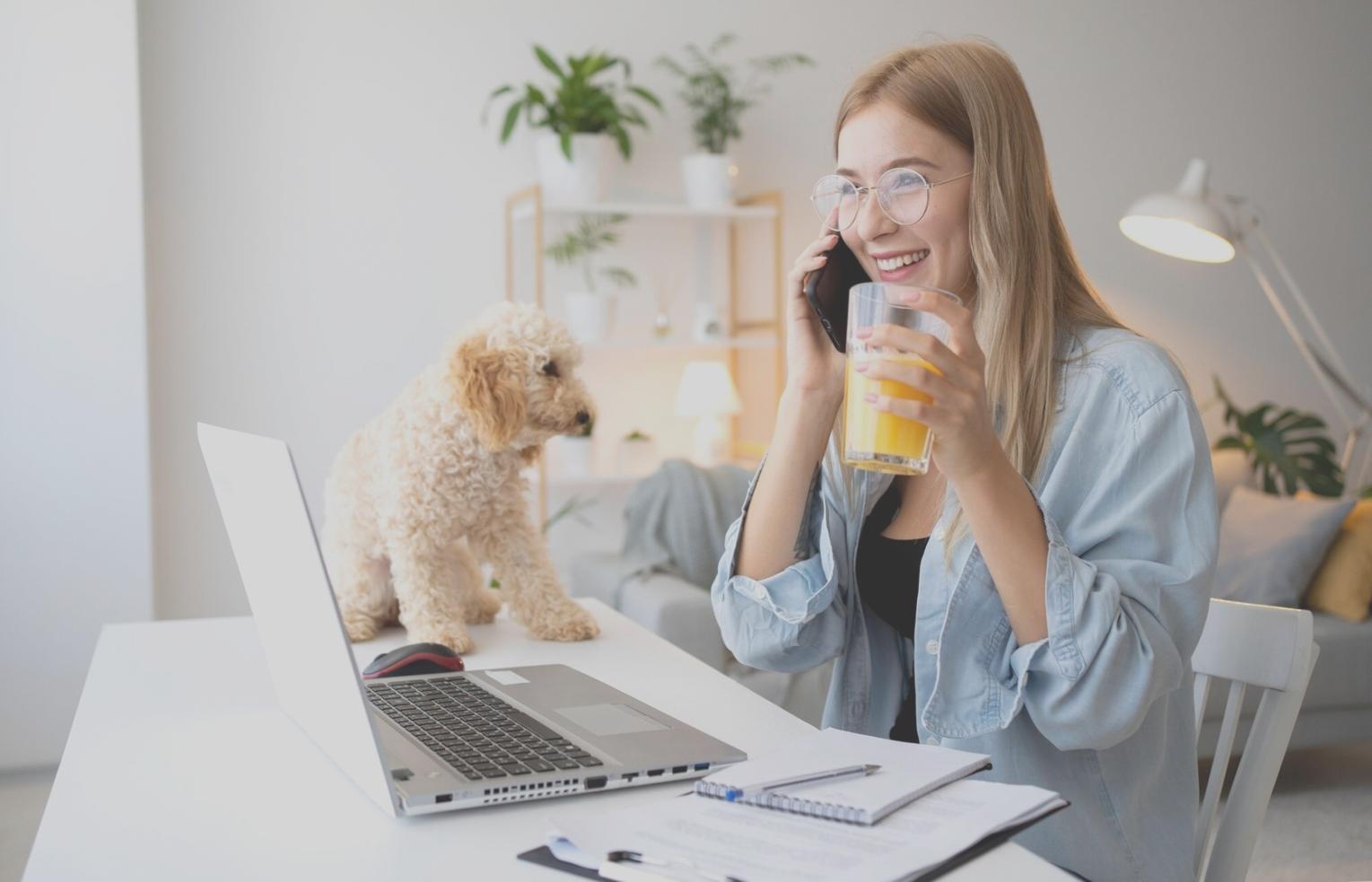 Команда специалистов по техническому SEO в работе